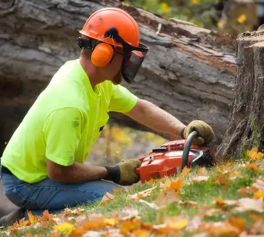 tree services Red Lodge